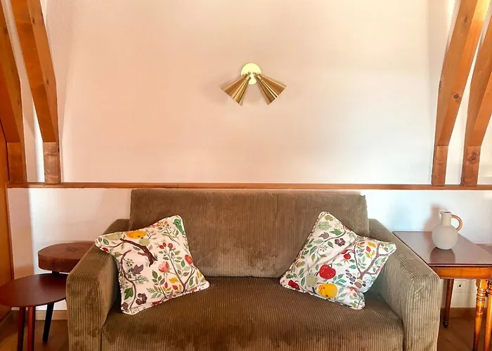 Appartement Charming In Leysin